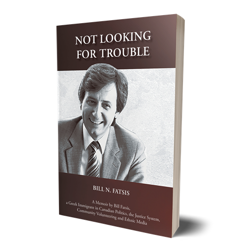 Not Looking for Trouble by Bill N. Fatsis Author