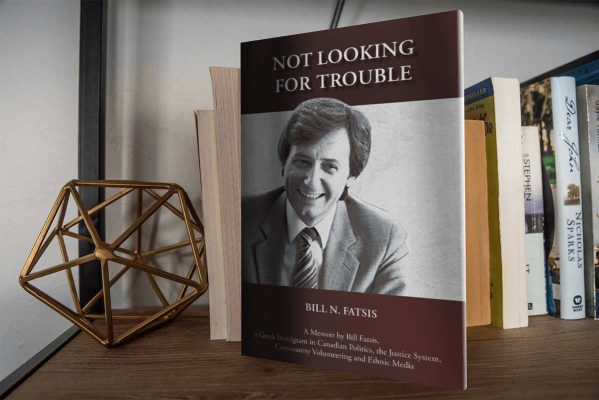 Not Looking for Trouble by Bill N. Fatsis Author